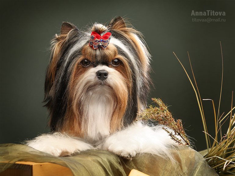 MALEN'KIJ SEKRET VAN MOMENT